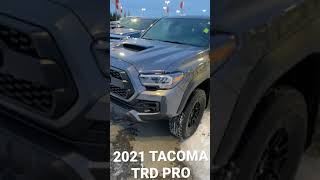 TACOMA TRD PRO 2021// Toyota Northwest Edmonton//