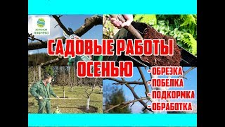 видео Обработка сада осенью от вредителей и болезней