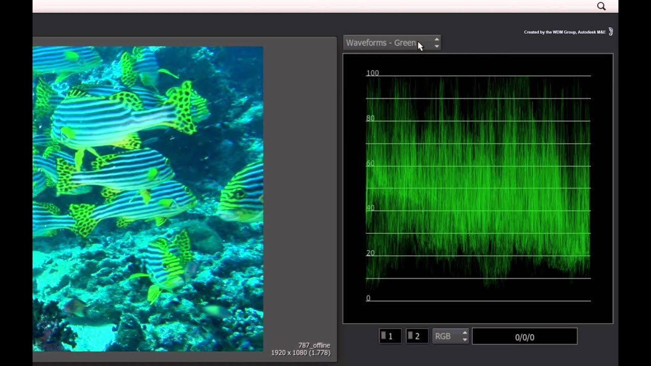 Vectorscope & Waveform Monitors - YouTube