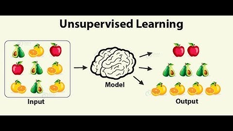 Unsupervised learning part 1 in Arabic - Week 1