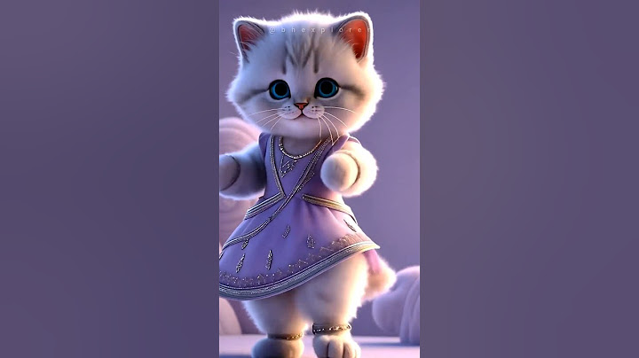 The Meow Cute Dance 💃🐈 #cat #cats #catlovers #pet #pets #petlover #animation #ai