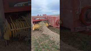 The Tractor Is Making Alfalfa Bales