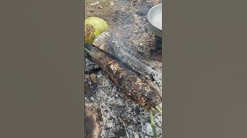 Cá Lốc Nướng Kiểu Dân Dã Miền Tây #Shorts