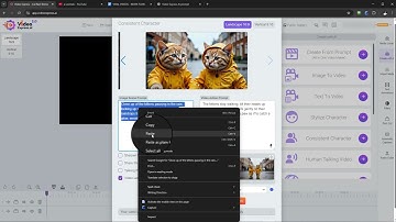 VideoExpress 2.0: How to Make Consistent Characters