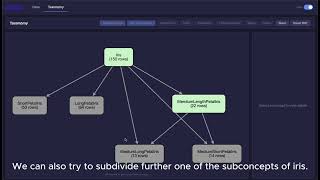 Celebrity TaBIIC 2 - building an ontology from the Iris Dataset Wealth