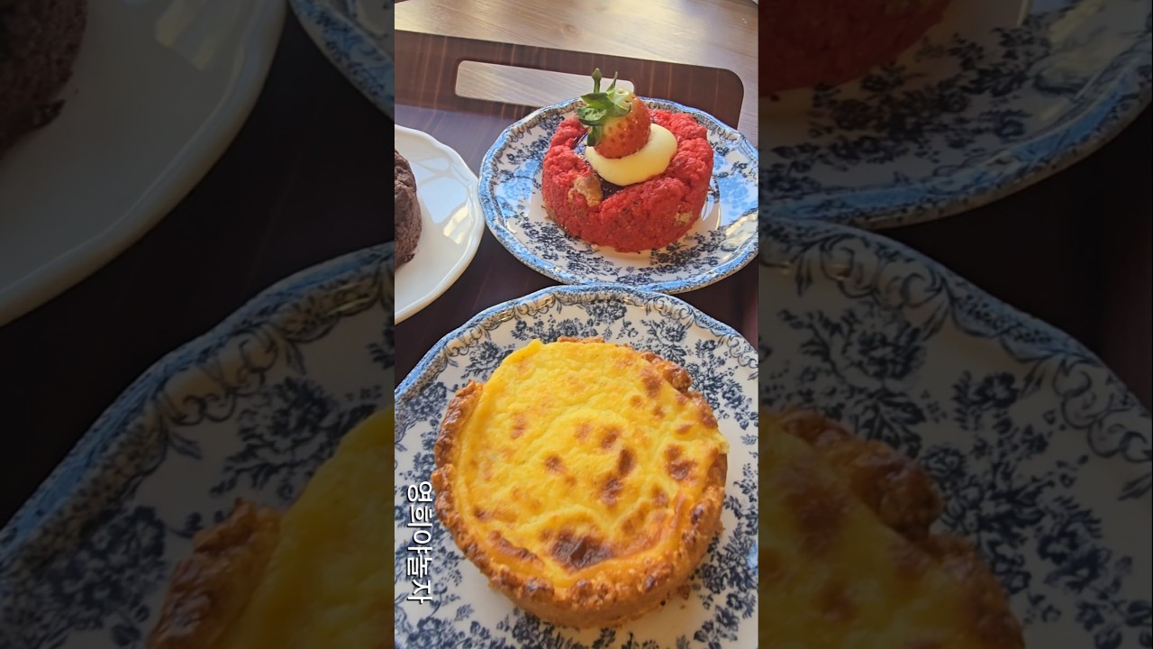 스콘맛집 😋 맛봐요 #박서진 #shorts #박서진단독콘서트 #남해카페 #스콘맛집 #누밸당스×너티버터