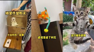 【本喵叫兔兔】一撮黑在公司崗位上乾的非常賣力做出了極大的貢獻所以我獎勵了一撮黑