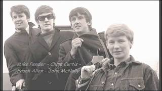 Video thumbnail of "The Searchers - Till I Met You"