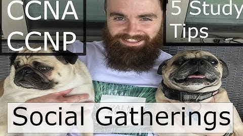 5 Tips for Studying at Social Gatherings - CCNA CCNP Study