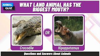 Animal Quiz Trivia - Questions and Answers About Animals
