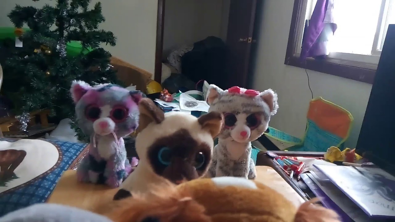 Beanie boo rap battle