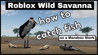 Roblox Wild Savanna  | How to catch fish | Marabou Stork  FISHING GUIDE