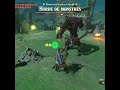 Tears of the Kingdom trickshot