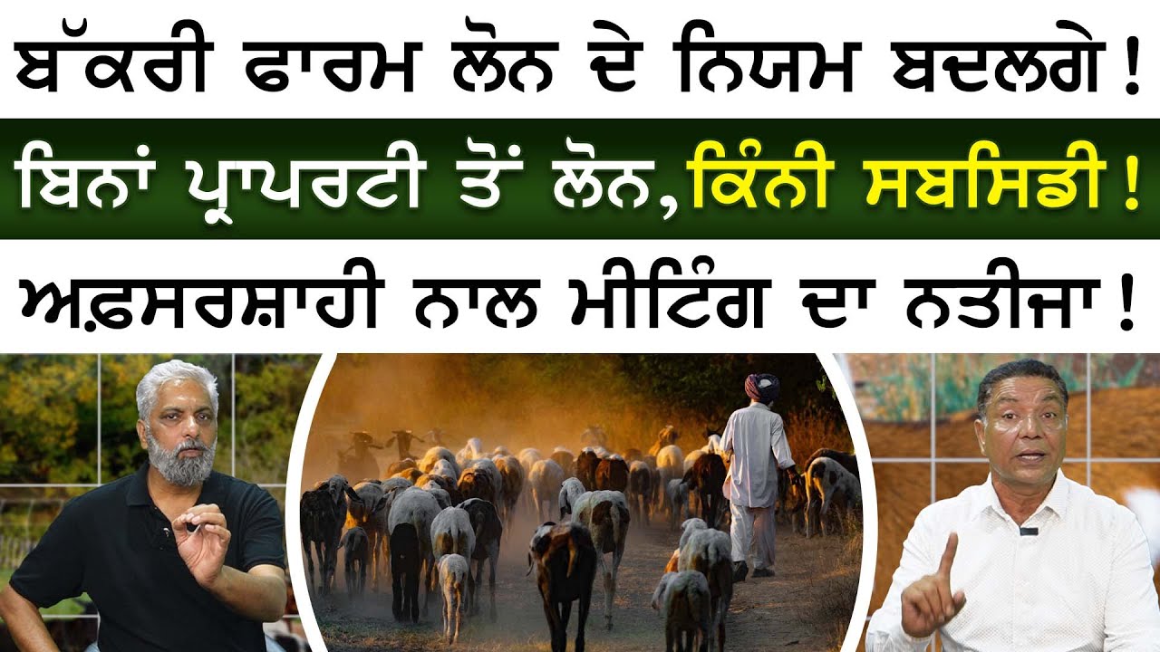 Goat Farm Loan - ਬਿਨਾਂ ਪ੍ਰਾਪਰਟੀ ਤੋਂ ਲੋਨ,ਕਿੰਨੀ ਸਬਸਿਡੀ ! | Bakri Farm Loan | Sirlekh