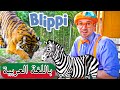 حلقة بليبي يزور حديقة الحيوانات و حوض أسماك بلبي بالعربي كرتون اطفال Blippi Arabic 