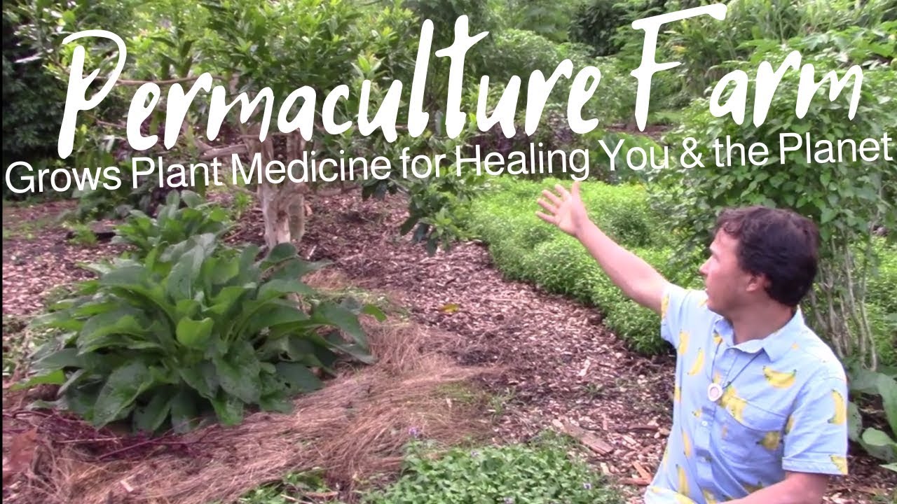 Permaculture Farmacy Grows Plant Medicine that Heal You & The