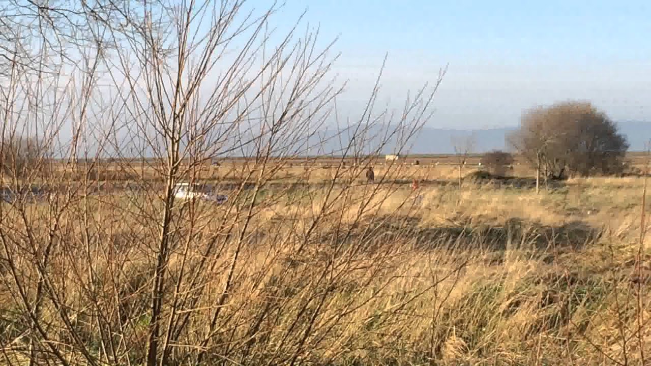 Joe McGonigle, Skoda Fabia S2000, Turkey Run Rally 2014