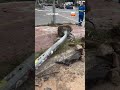 Motorista alcoolizado bate carro e destrói semáforo na Zona Sul de SP