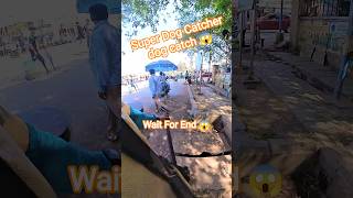 Raheman Dakait Unbelievable Dog Catchers #dog #dogwithpublicsafety #ytviral #pets #animals #shorts