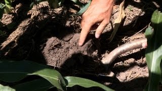 Healthier Soils For Healthier Farms