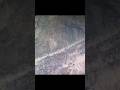 “Deer Hunting Adventure | Accurate Gun Shot 🔫”“Epic Deer Hunting Moment | One Shot One Target!” #