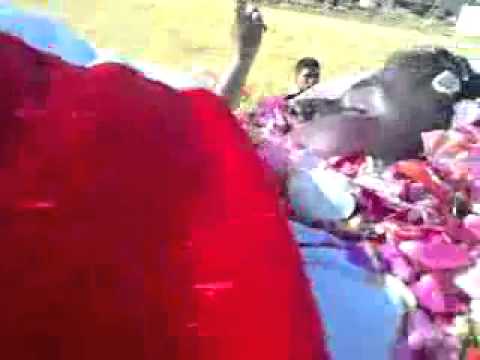 تشييع الشهيد ضياء الكفري درعا غصم 28 5 