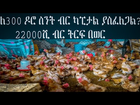 ቪዲዮ: ተፈጥሮ የተለያዩ የቀዘቀዙ የዶሮ ቀመሮችን ያስታውሳል