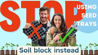 Best Seed Starting Method: Seed Trays vs. Soil Blocking