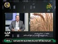 الزراعية مباشر| تعرف على اهم التوصيات الفنية في مرحلة طرد سنابل القمح..د.صلاح مكادي 22/1/2020