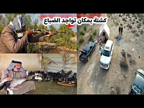 كشته ابو عباس في هور الدلمج شعر ومواقف مضحكه وضهور الضبع