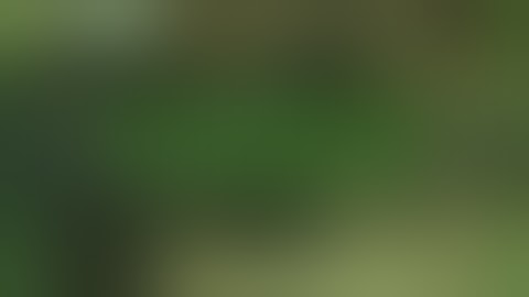 Как обновить сервер css [No steam] до последней версии