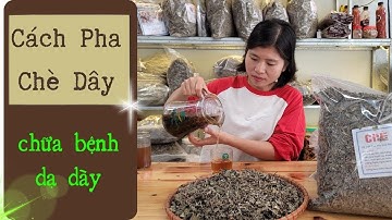 Cách Pha Và Sử Dụng Chè Dây Đúng Cách | 0868184777