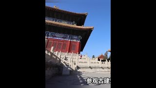 精武门·中华武林园：探寻精武之魂，体验武术魅力 #精武门 #中华武林园 #精武之魂 #武术魅力