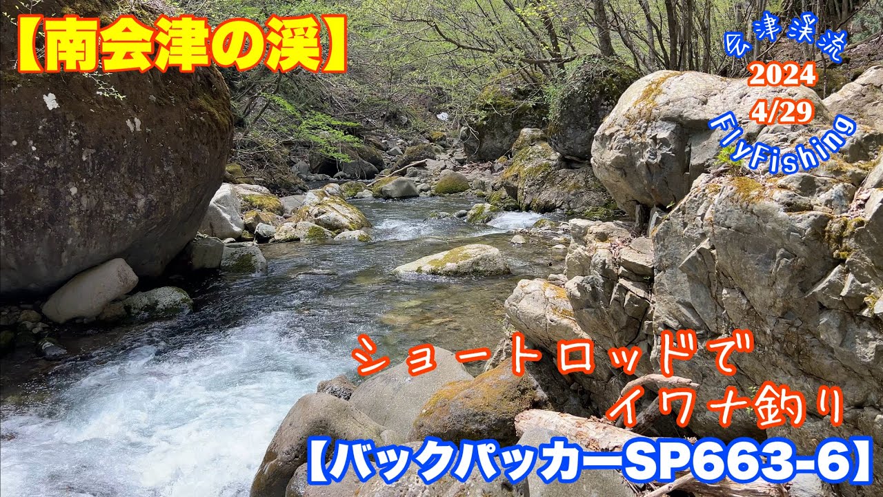 2024-4/29会津渓流FlyFishing【南会津の渓】ショートロッドで