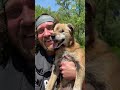 This 18-year-old blind and deaf dog is walking every bridge in the Twin Cities