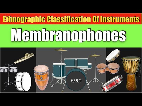 Video: Ar visi būgnai yra membranofonai?