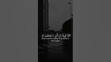 كانوا قليلا من الليل ما يهجعون انس شهاب 