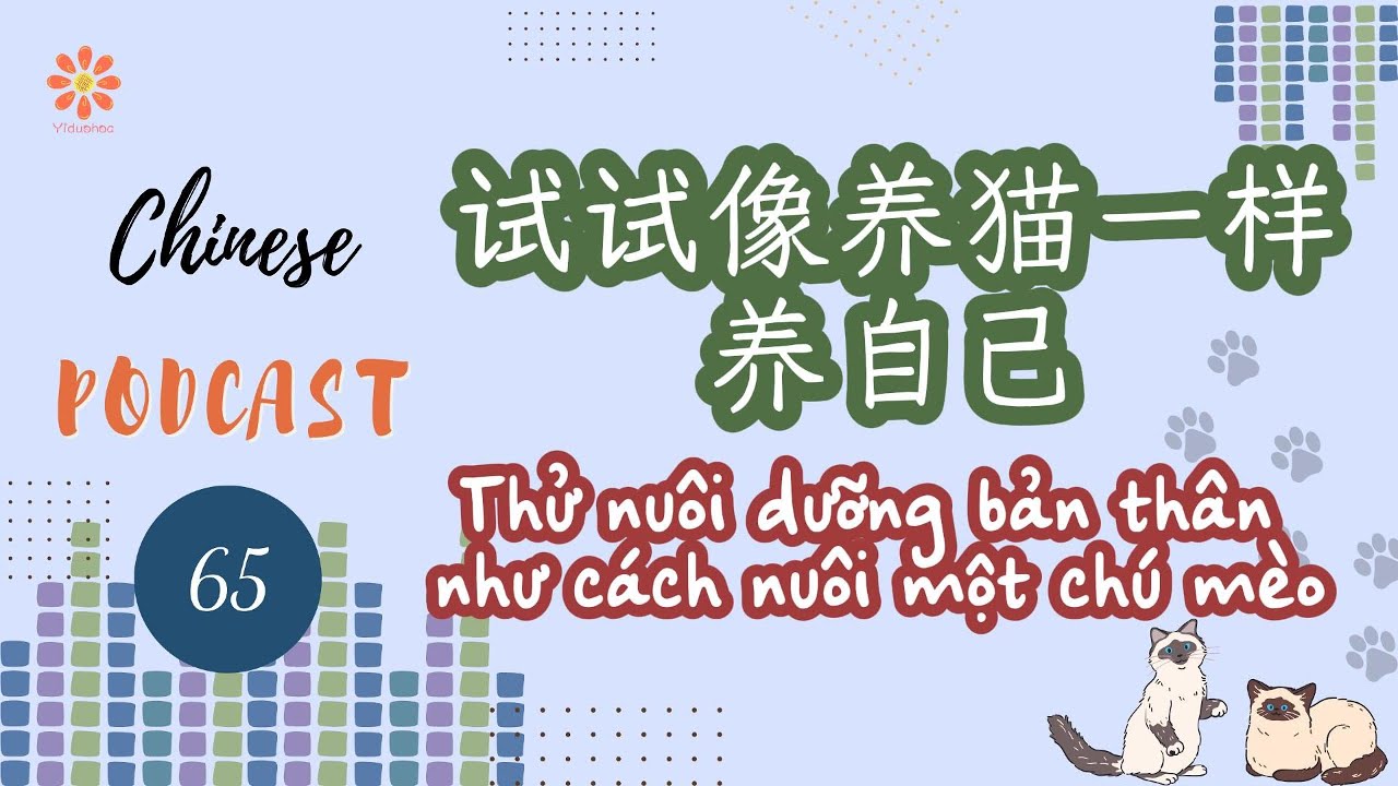 [Chinese Podcast] 65- Thử nuôi dưỡng bản thân như cách nuôi một chú mèo-Luyện nghe tiếng Trung