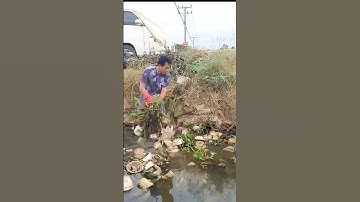 Hard work//Cleaning Plastic Unclog Culvert drain #shorts #cleaning #real