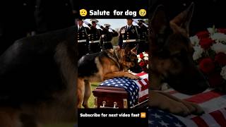 Owner lost, police dog waiting all confused 🐶👮‍♂️ #police #military #pets #shorta