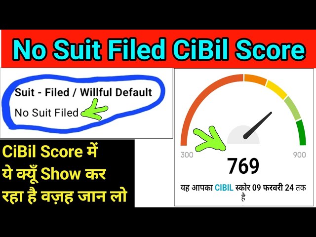 CIBIL Report Understanding | PDF | Credit History | Loans