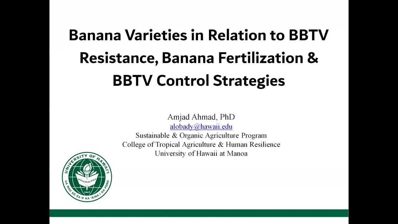 Banana Varieties in Relation to BBTV Resistance, Banana Fertilization, & Control Strategies