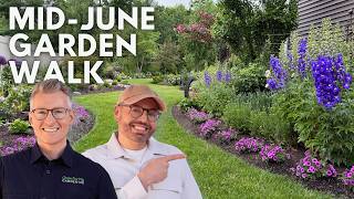 Mid-June Garden Walk 🌿 What's Blooming in Our Zone 6a Garden Right Now