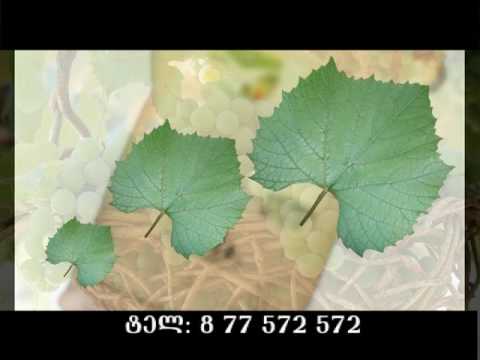 ანტრაკოლი