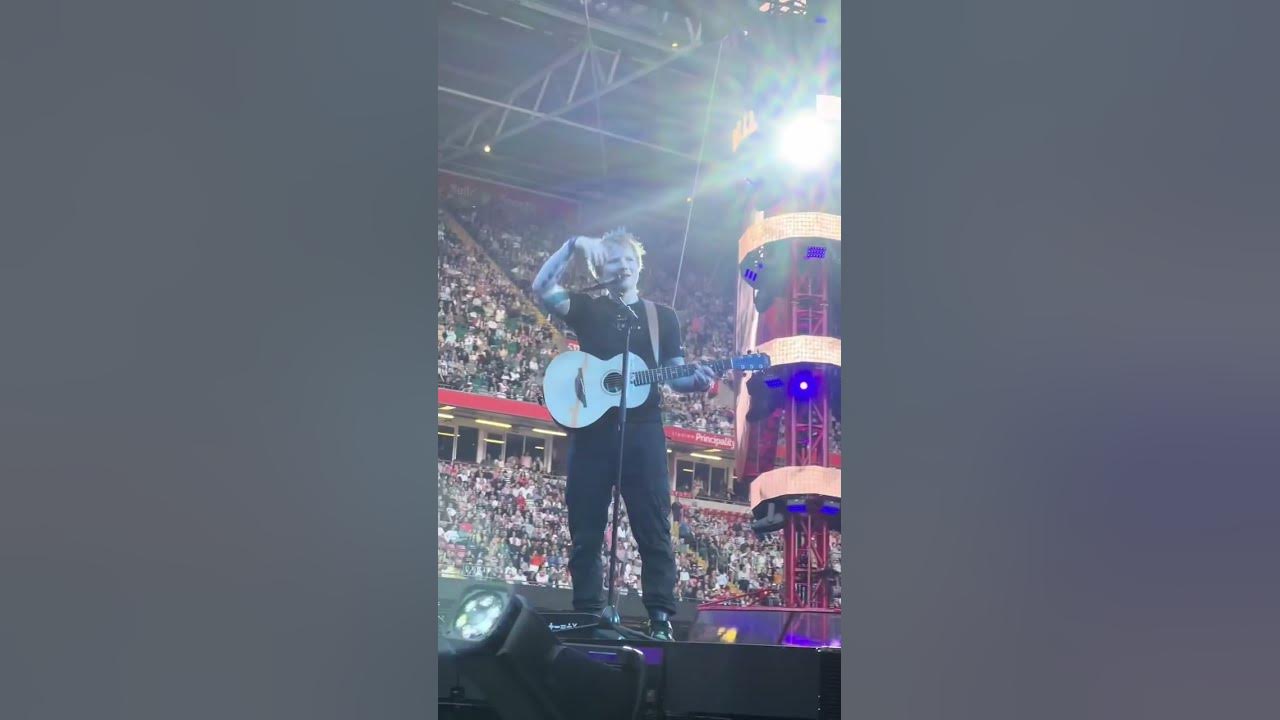 Ed Sheeran Stops A Fight In The Crowd 😱