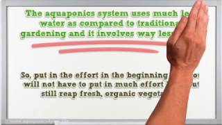 How to Setup Your Own Aquaponics System Easily | Riley Hunter