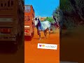 فإن ق لبي لح ب الخ يل مي ال وم ن ف ي حب الخ يل قد ي لام 