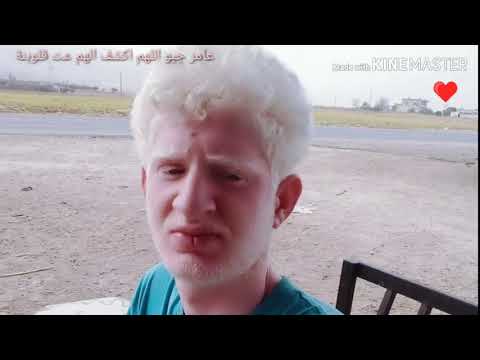 دعاء اللهم يا من أجاب نوح حين ناداه عامر جبو القناة الرسمية للشيخ د عامر جبو 