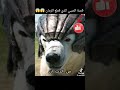 ٨ يناير ٢٠٢٦