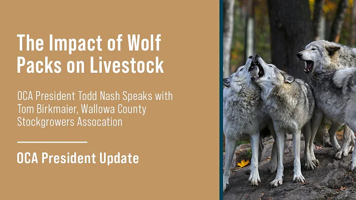 Todd Nash, OCA President speaks with Tom Birkmaier...